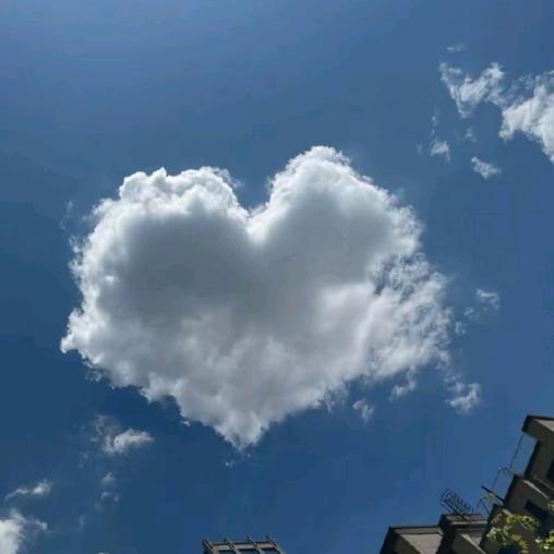 ☁️知我❤️