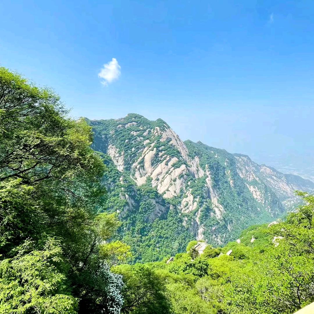 WZ怼怼头像