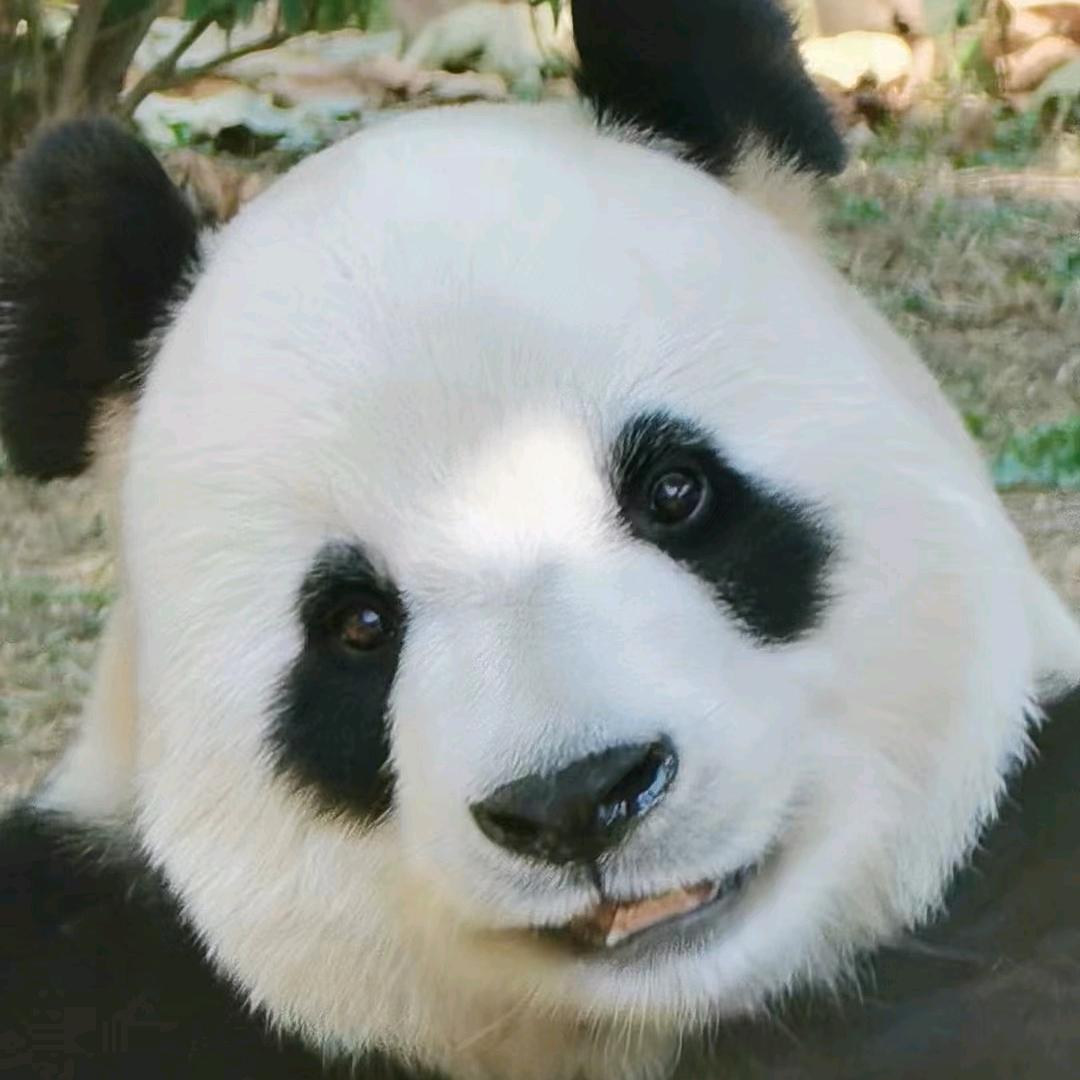 Ellen（跟飞云贴贴过）