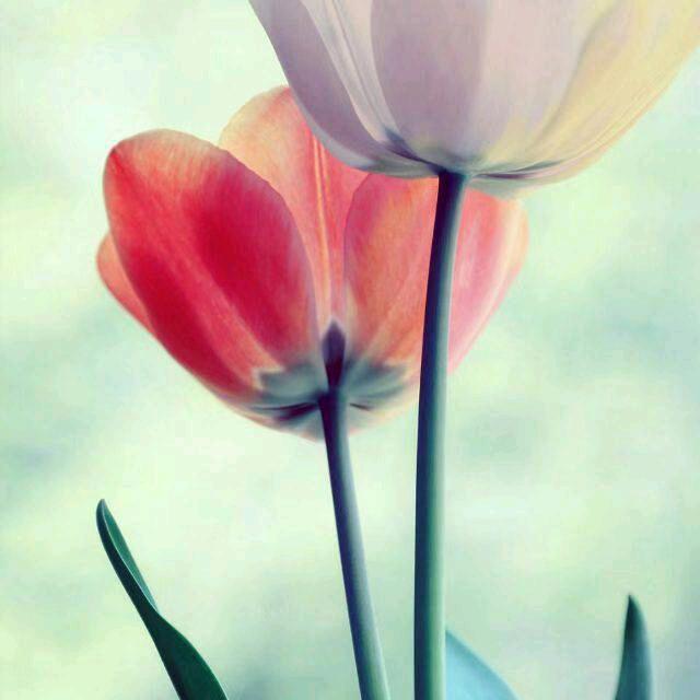 一家人幸福一生