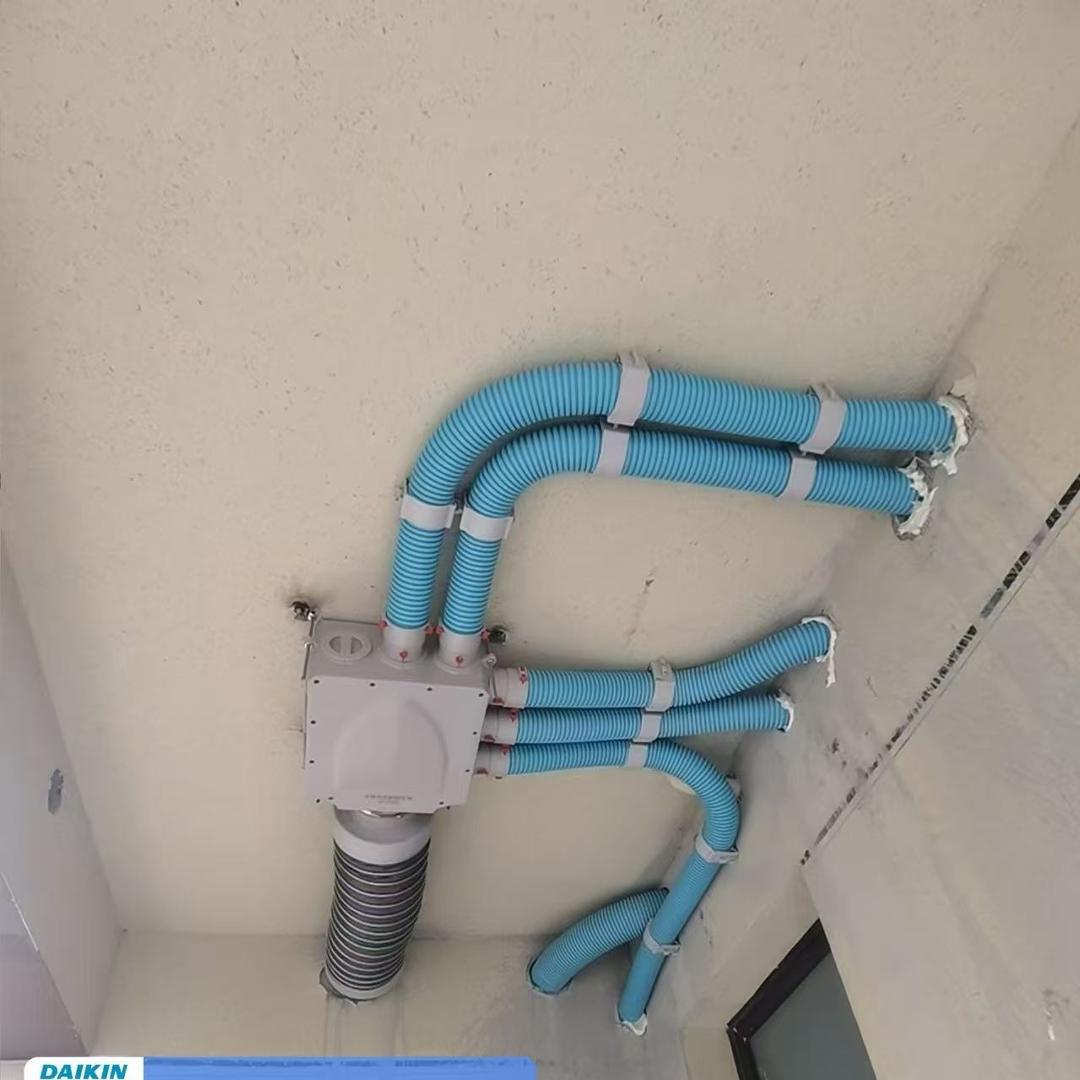 青火燃情