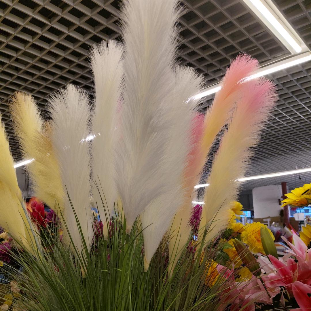 萍水相逢
