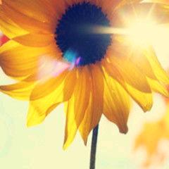 暴富小锦鲤*^_^*