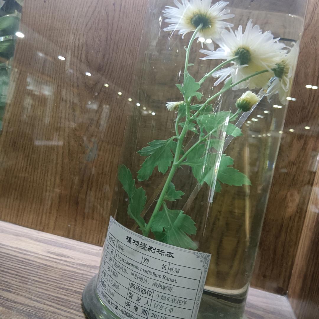 6.11