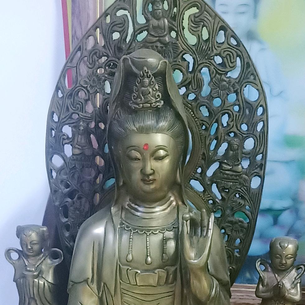 静心善舍忍