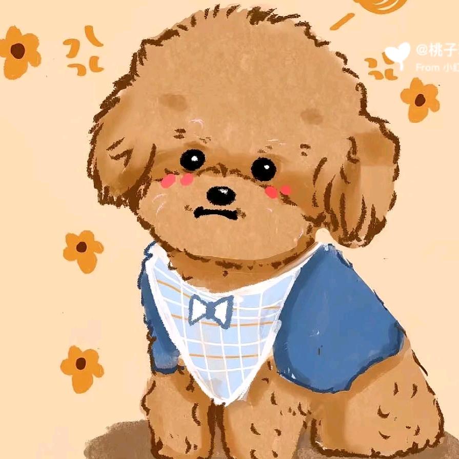 蛋黄卷是只泰迪犬