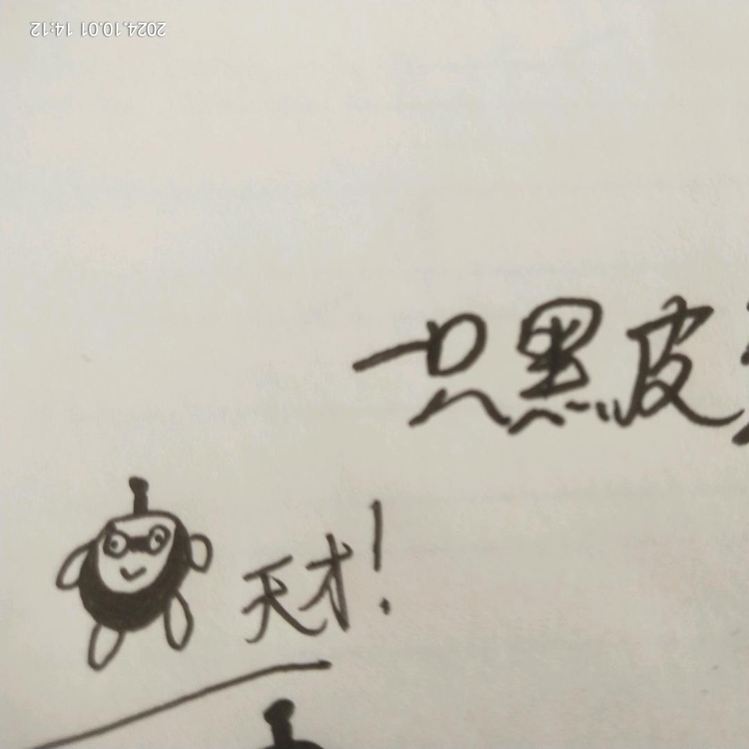 一只黑皮蛋
