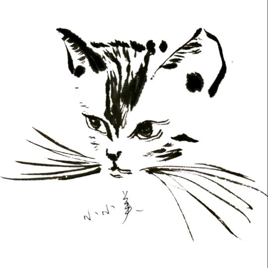 丸丸