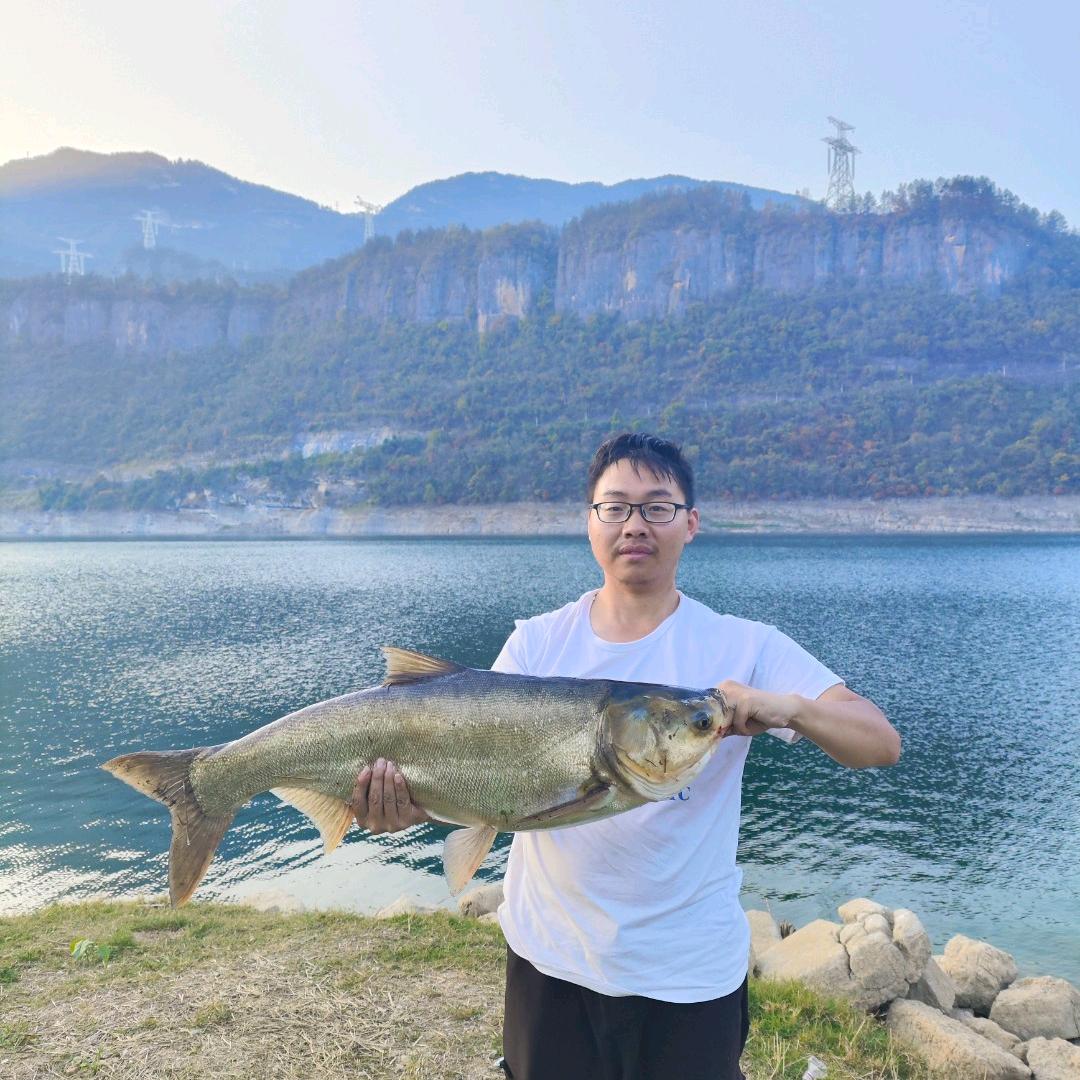 小金荒野垂钓（荒野吃白菜）