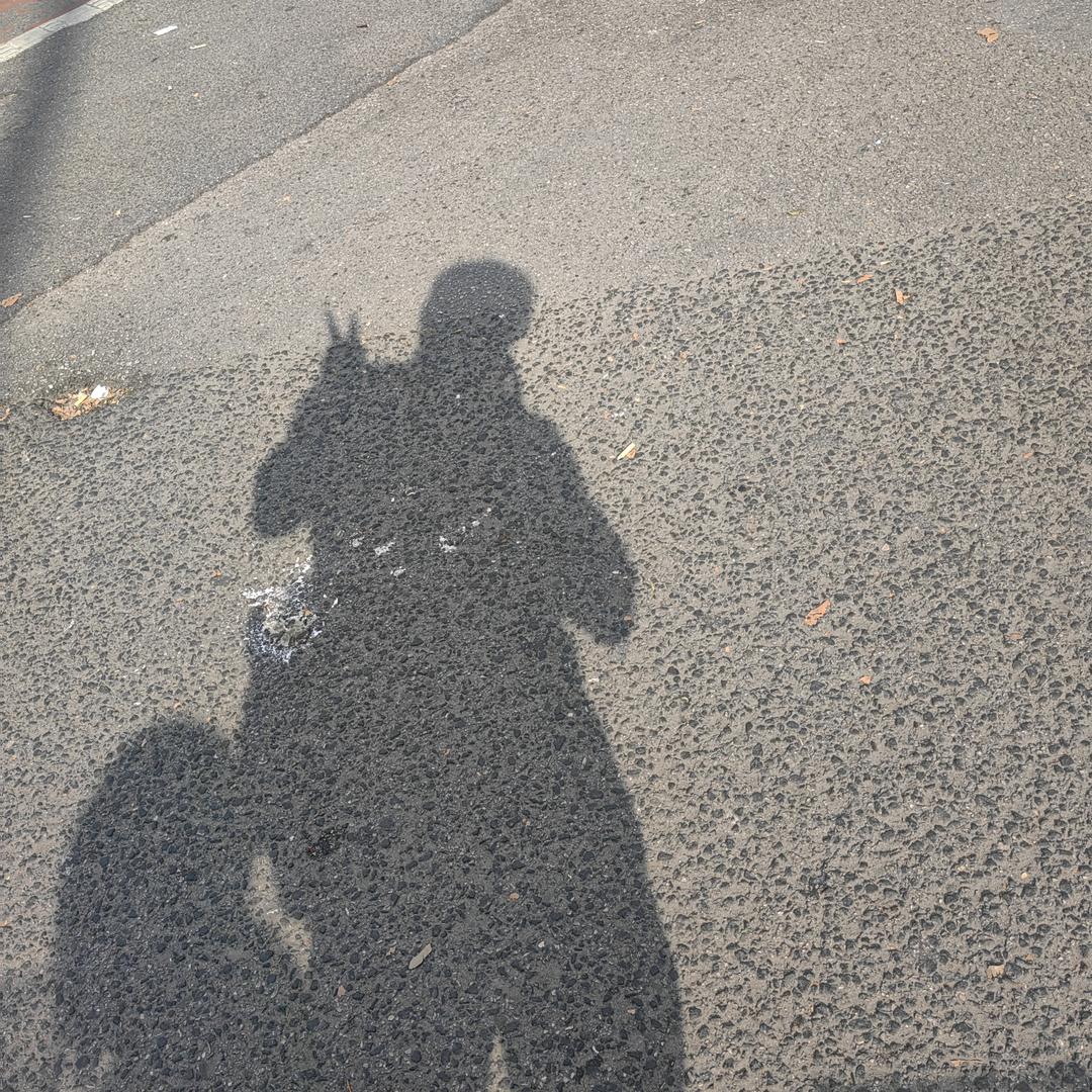 一朵可爱的喇叭花