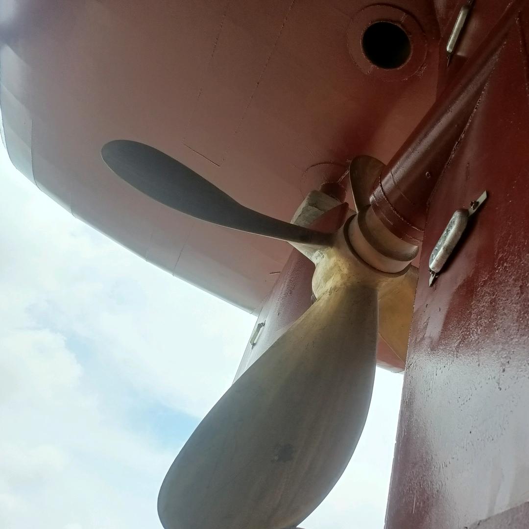 y头