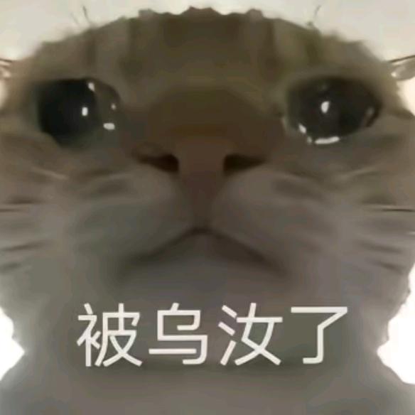 老灯送的嘉年华