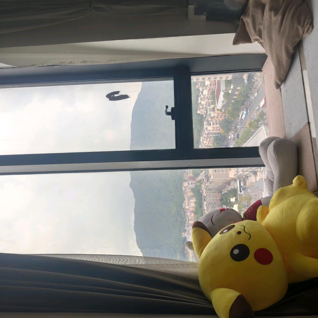 黄芪霜工厂店直播号