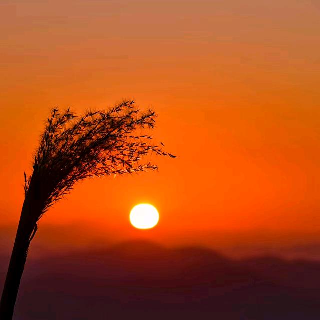 淺笑、等壹個晴天