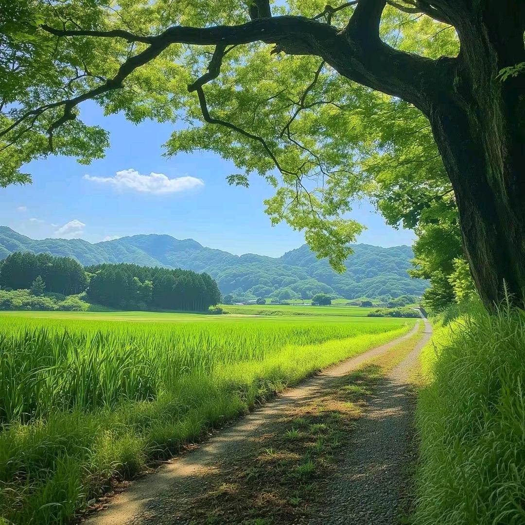 和平之月