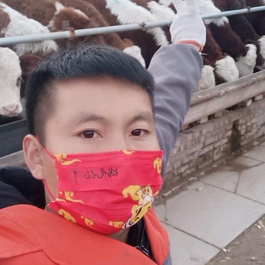 80后养牛人
