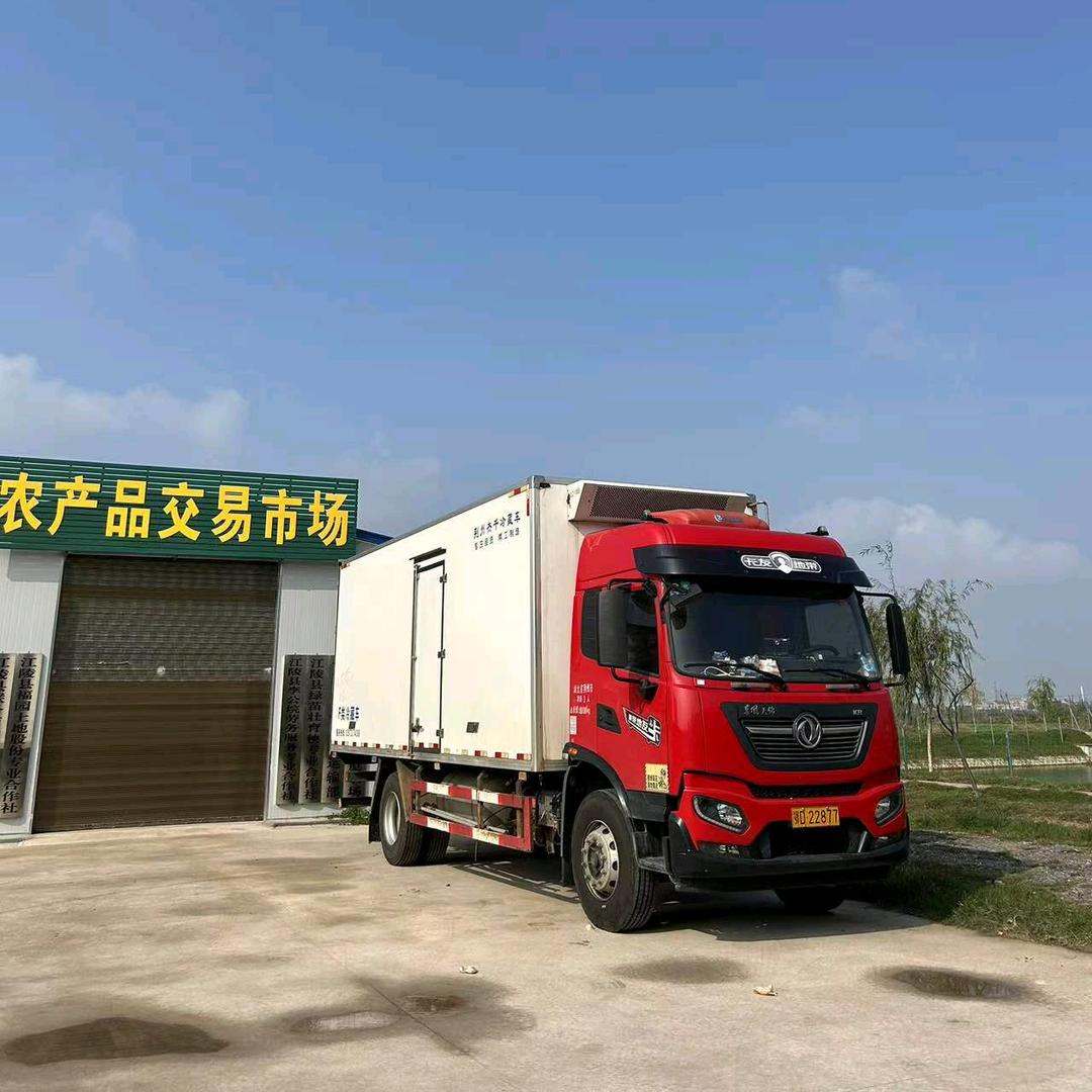 江陵县绿苗壮育秧专业合作社