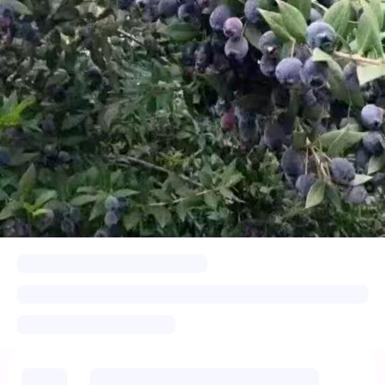 迷倒一大片