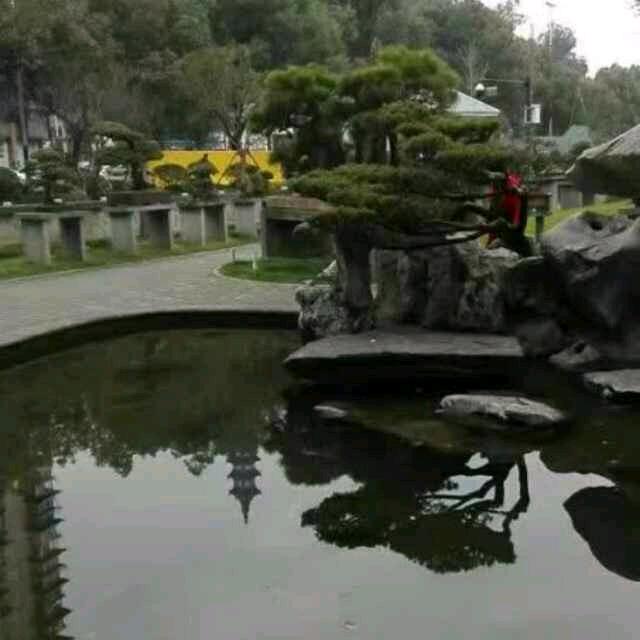 半生己过,学会沉默。