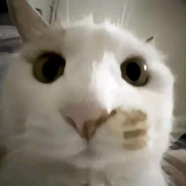 原函数