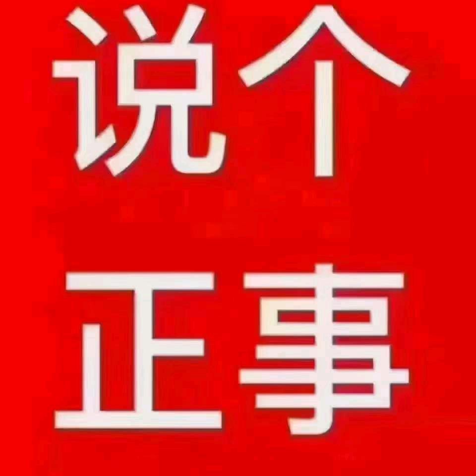 诚信，接单，张杨