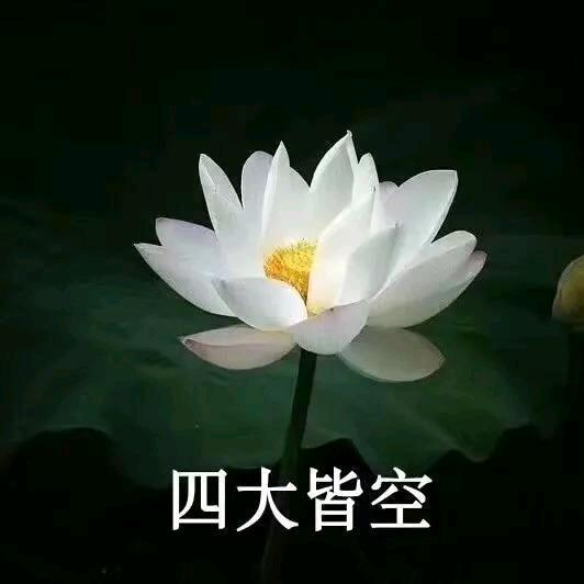 四大皆空头像