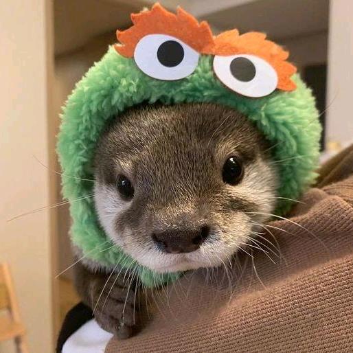 一缕阳光、渲染整个世界