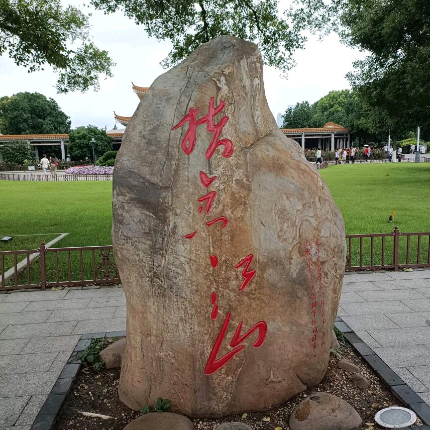 我的梦，永远都是迷