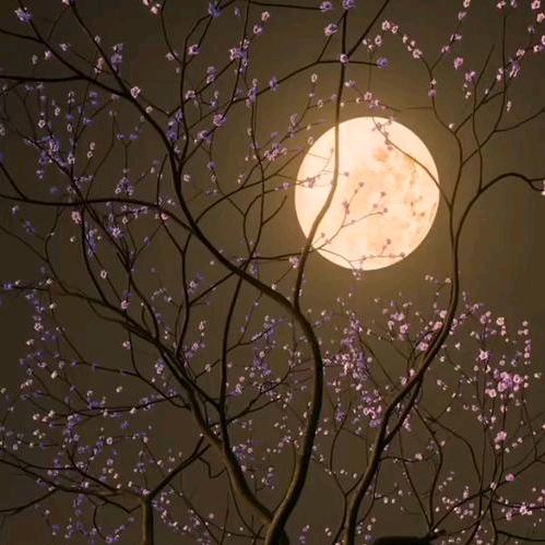 夜的不安稳