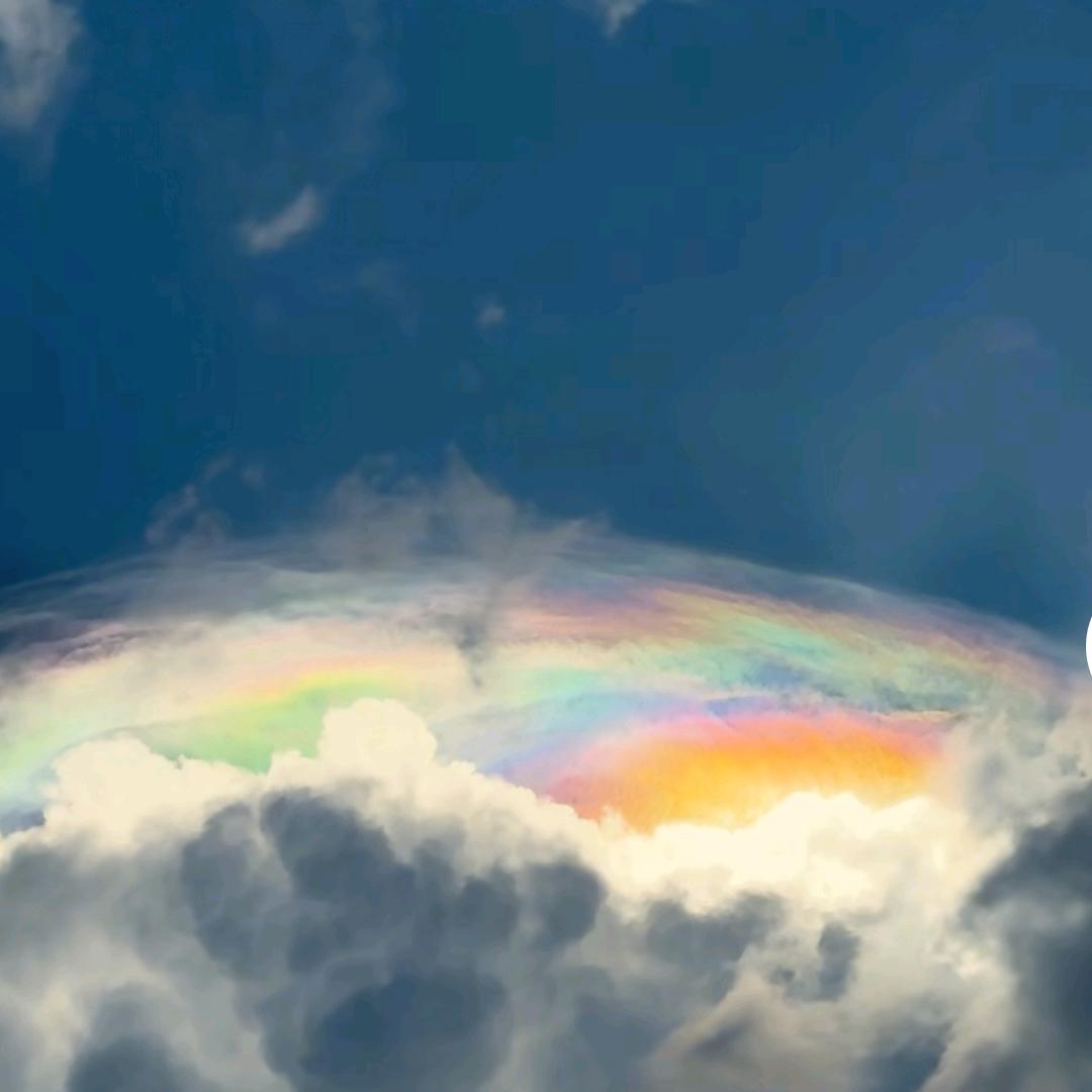 空白……