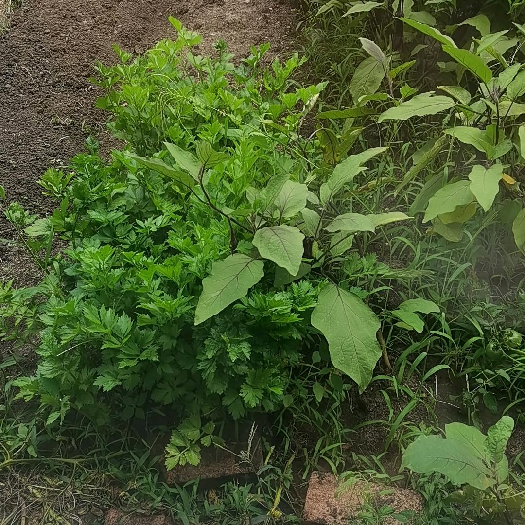 用户52270930