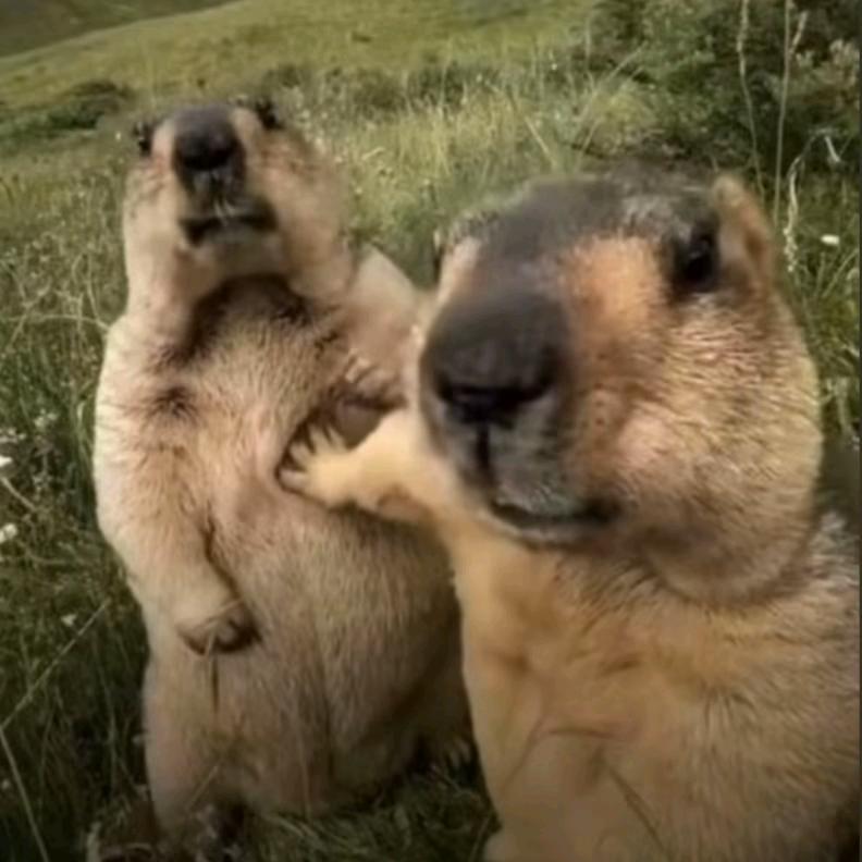 别害怕，我不是好人。