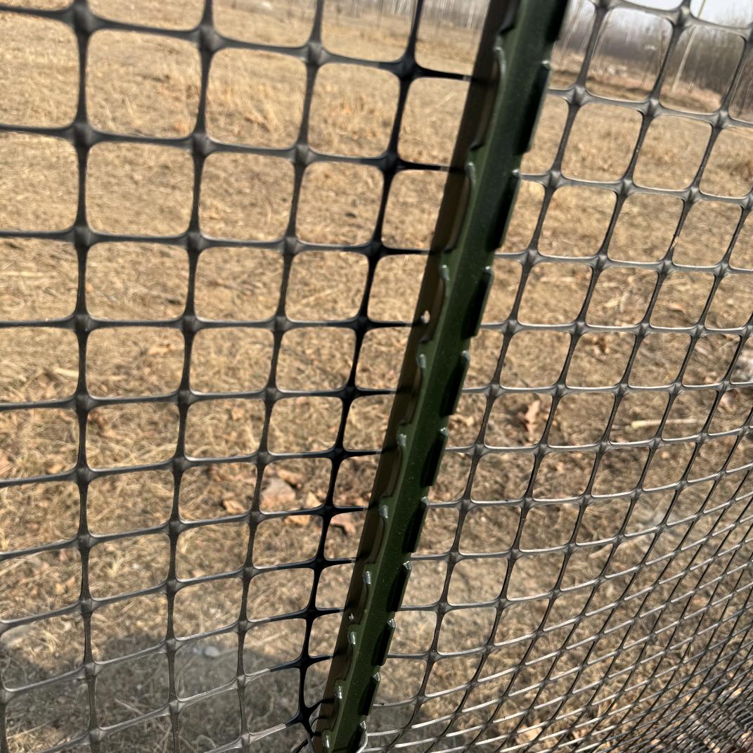 安平九栅金属丝网制品厂的小店