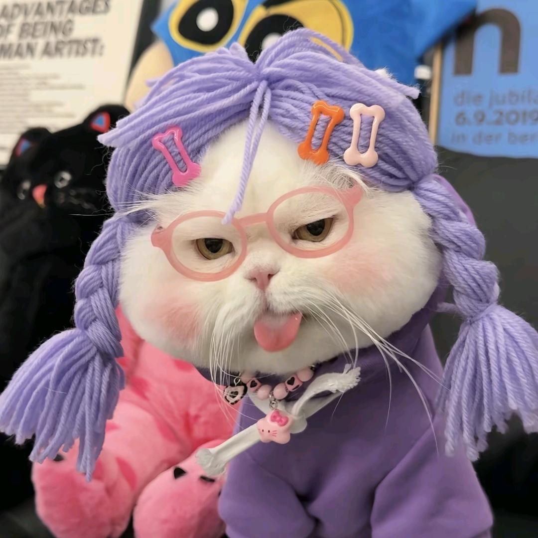 钱都到兜“李”女士