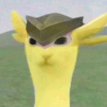 ⁺✞ʚ是鼠王啊ɞ✟₊