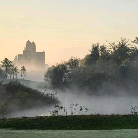 麦兜去旅行(团队招新)