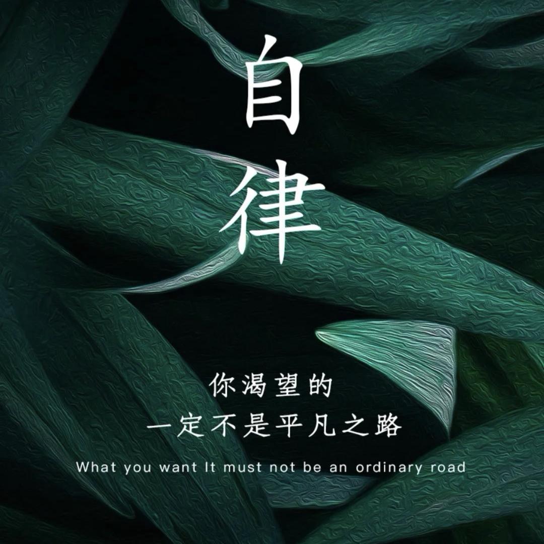 又双叒叕