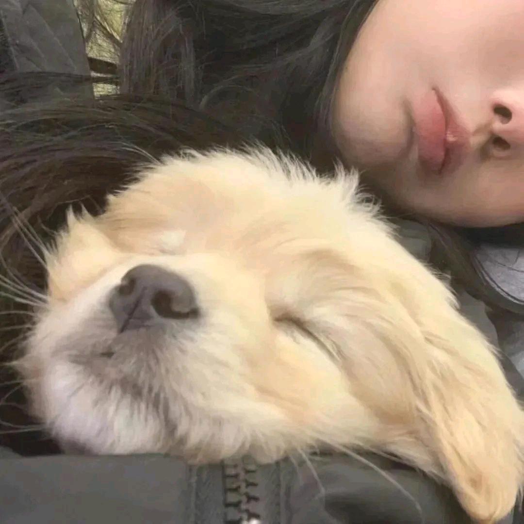 蒋不听🥰