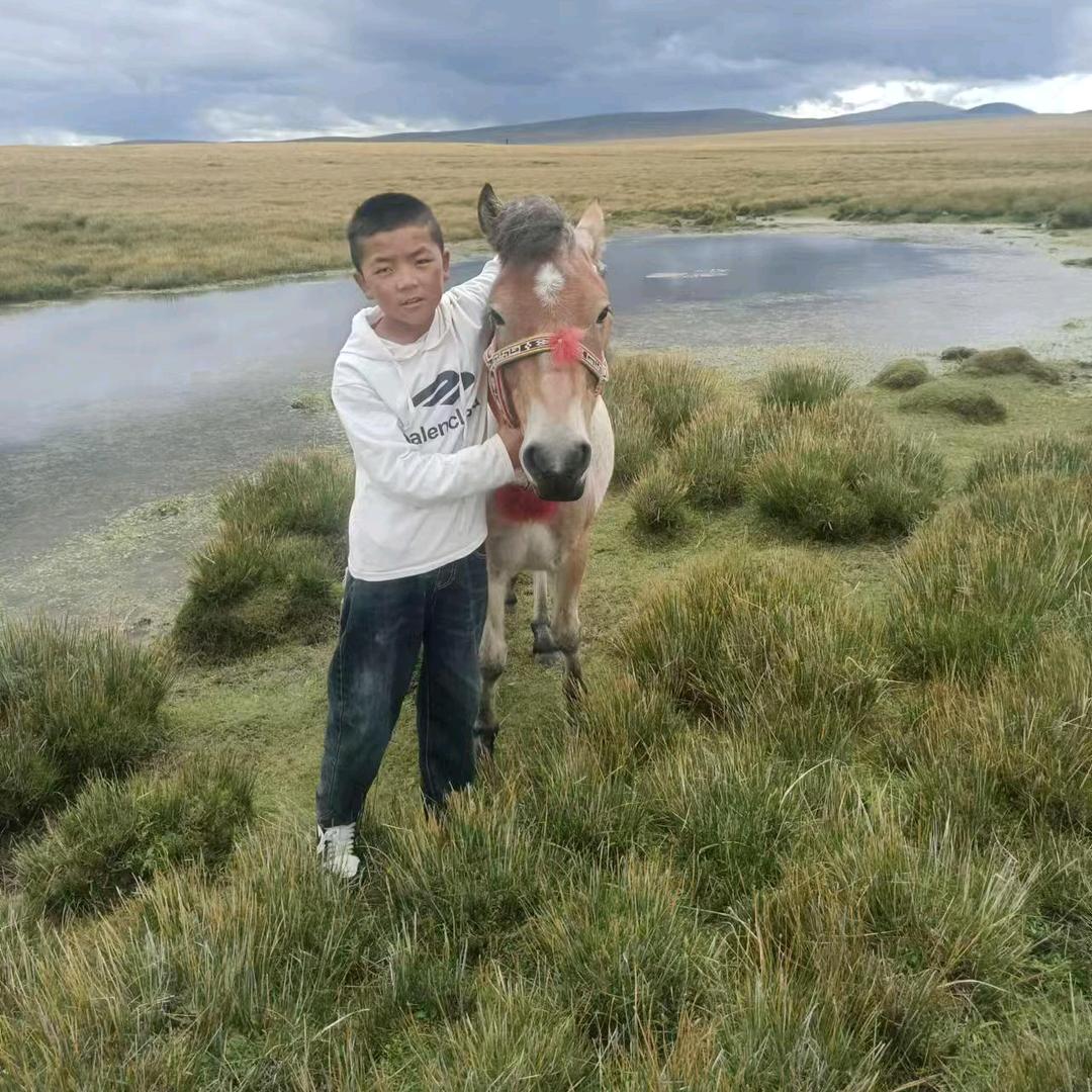 爱马🐴