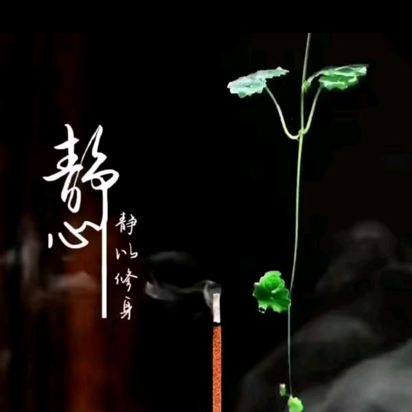 修心修性