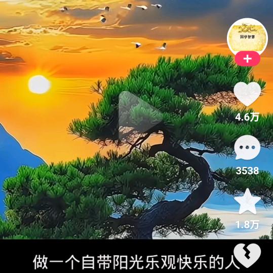 苦难到此为止，余生一舤风顺