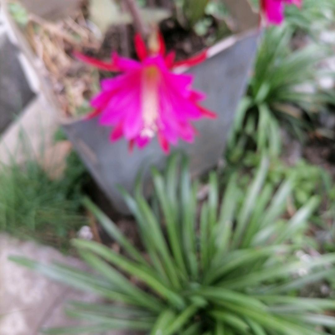 大邑。随缘