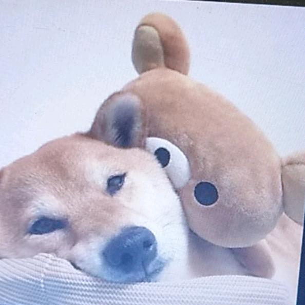 画沙