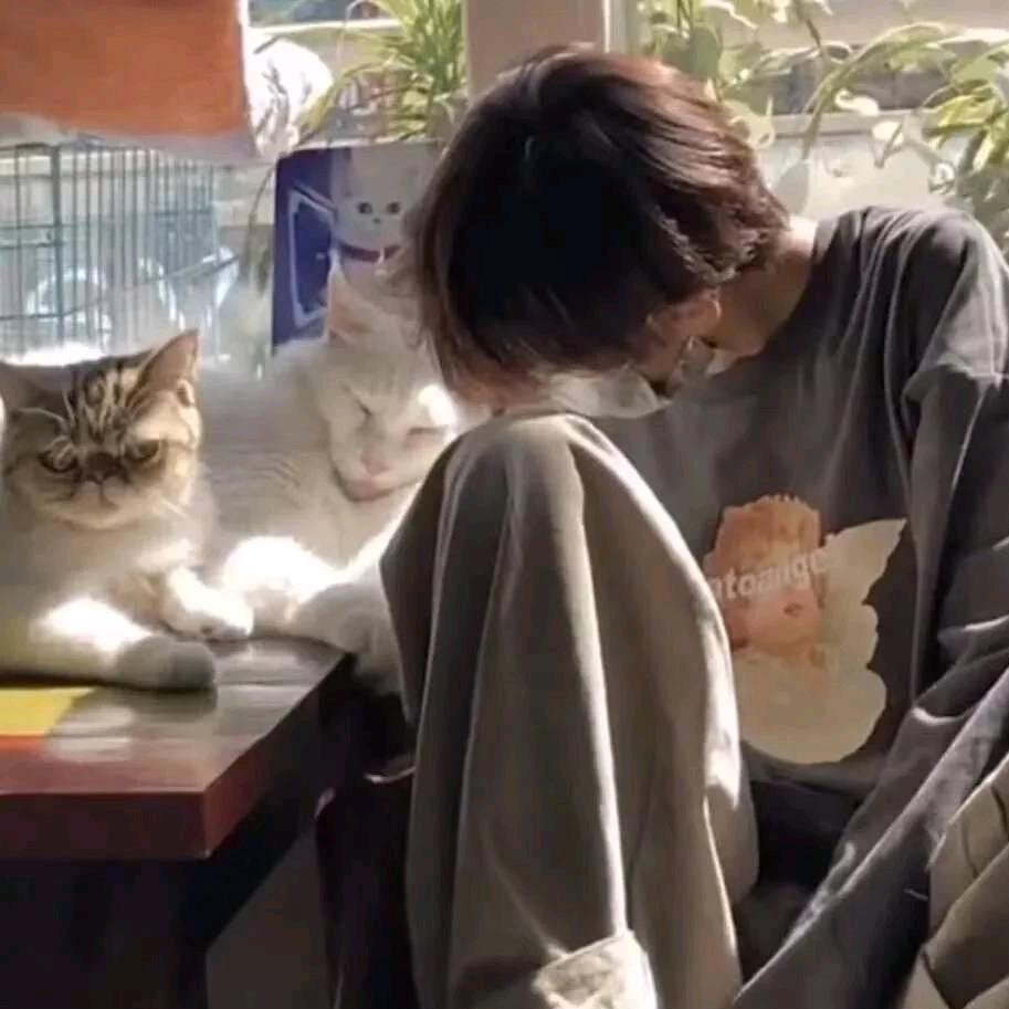 家世界dd宠粉号