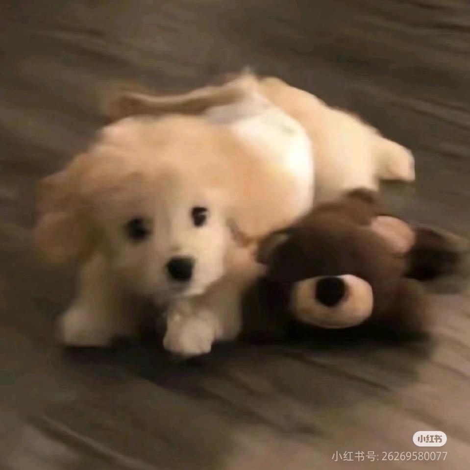清雾闲.