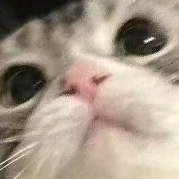 人类