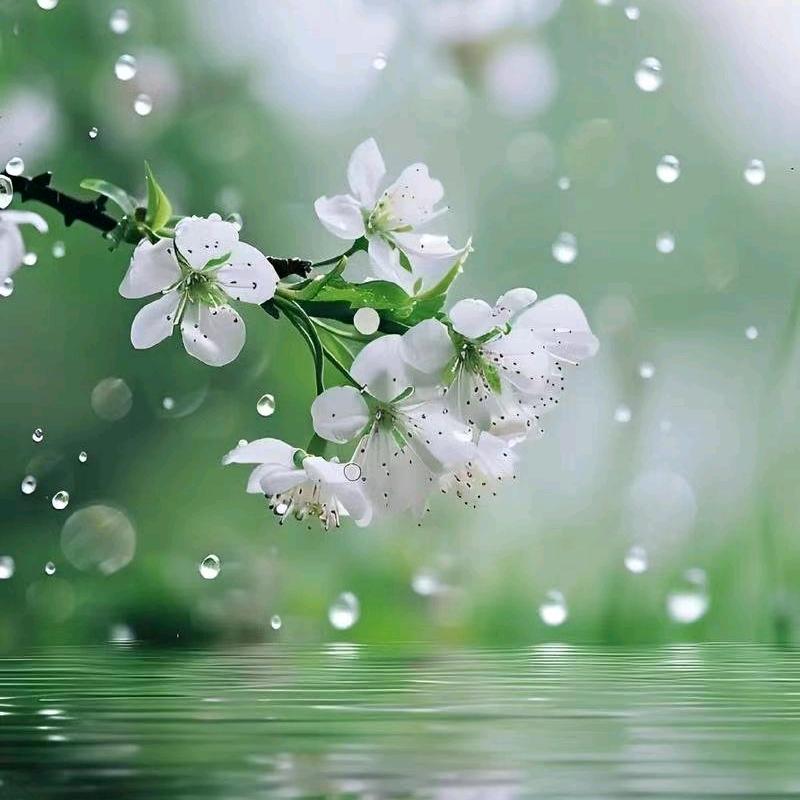 小童国童装2(安阳柏庄源头工厂供货)