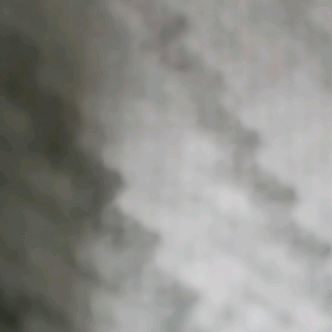 洋奕学长