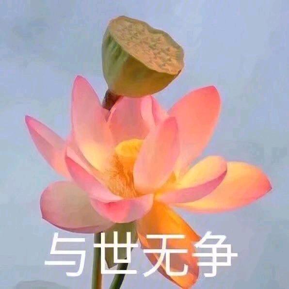 两个孩子妈