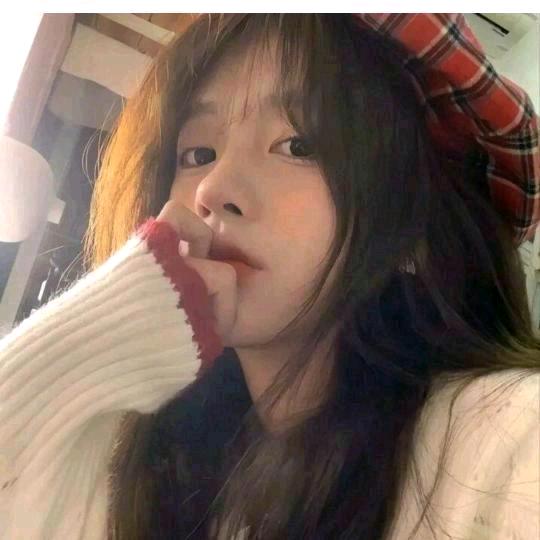 故事已忘南墙已撞